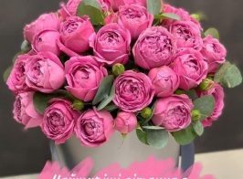 Привітання Ляшенко